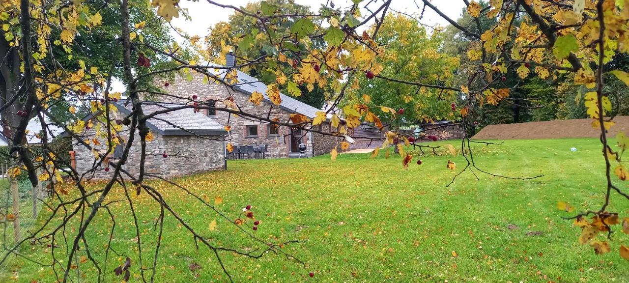 Les Highlands - Maison De Vacances Houffalize Buitenkant foto